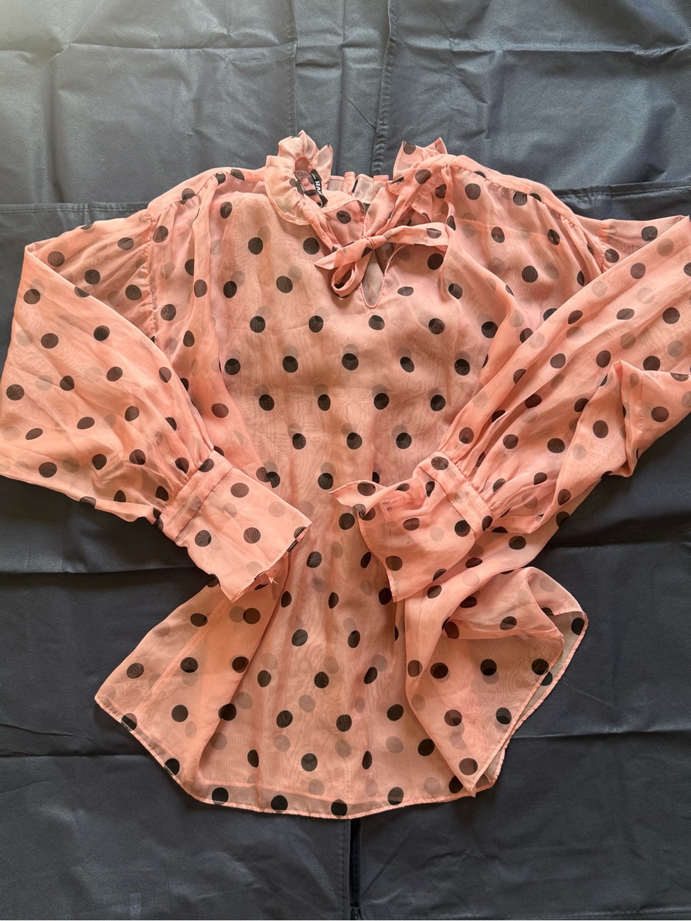 Zara Sheer Polka Dot Tie-Neck Blouse - Peach/Black